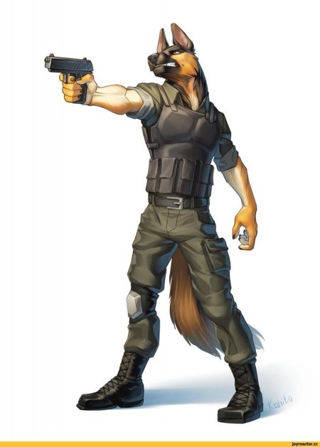 Фурри собаки немецкая овчарка