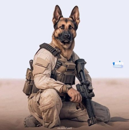 Профессии собак