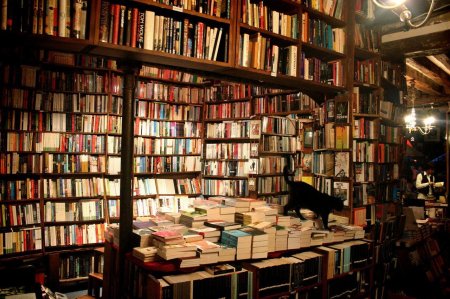 Книжная Эстетика