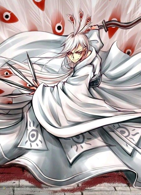 Лорд Шень аниме