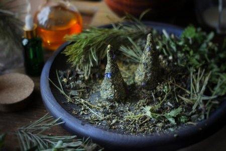 Ведьмины травы