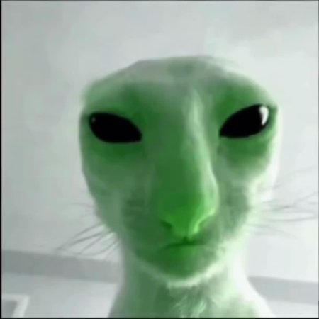Зелёный кот пришелец Мем