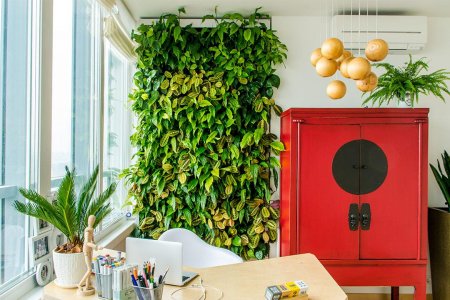 Лиана Грин вертикальное Озеленение