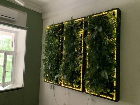 Лиана грин вертикальное озеленение