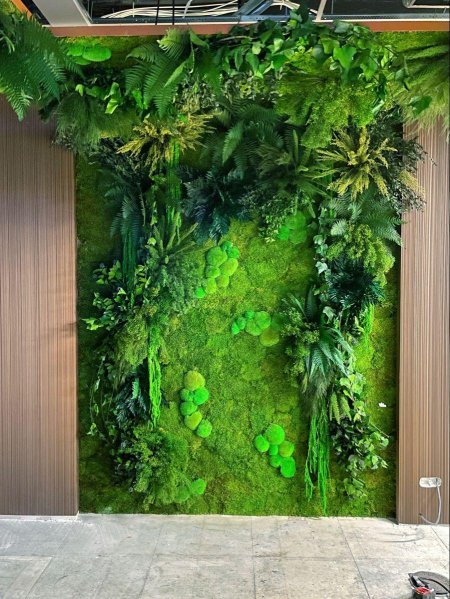 Лиана Грин вертикальное Озеленение