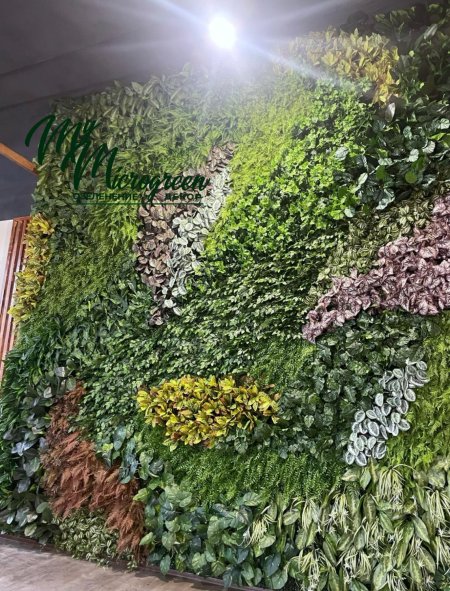 Живая стена в саду