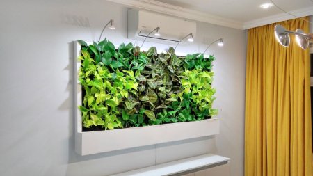 Лиана Грин вертикальное Озеленение