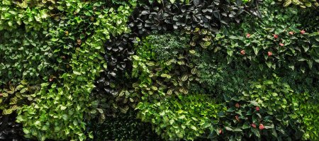 Наташа Купер ползучий плющ