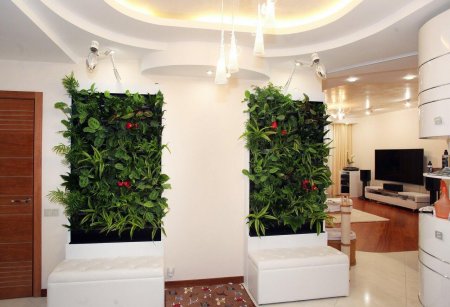 Лиана Грин вертикальное Озеленение