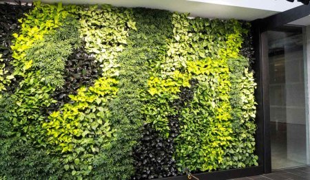 Фитостена вертикальное Озеленение