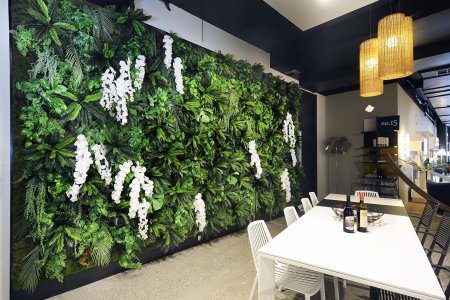 Нефролепис фитостена