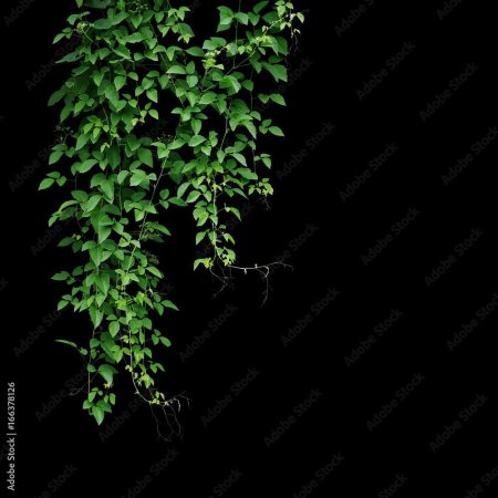 Текстура вьющиеся растения