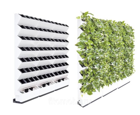 Фитостена BOXSAND