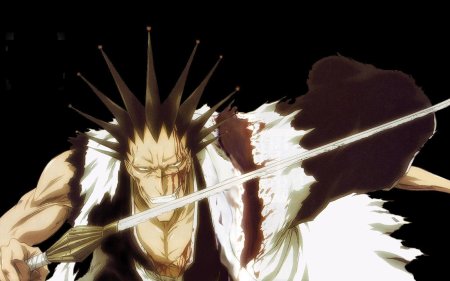 Шикай Кенпачи