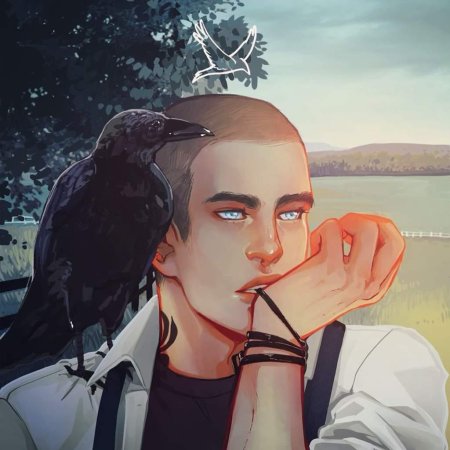 Воронята Ронан