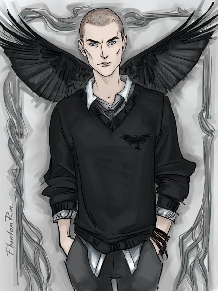 Воронята Ронан