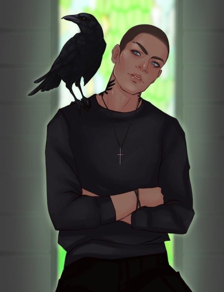 Воронята Ронан