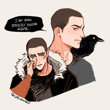 Воронята Ронан