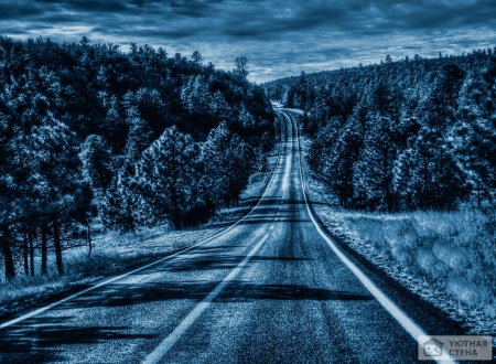 Красивые дороги