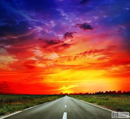 Дорога закат