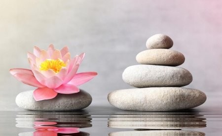 Лотос и камни