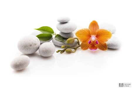 Спа на белом фоне