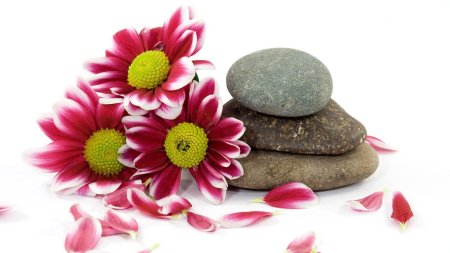 Массаж цветы