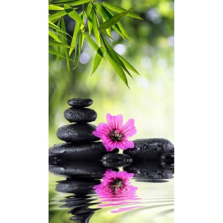 Лотос фен шуй