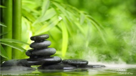 Лотос бамбук камни