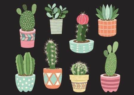 Кактус в горшке арт