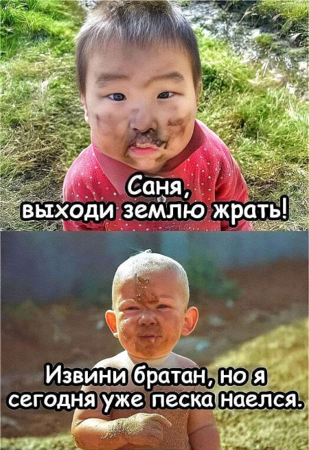 Картинки приколы