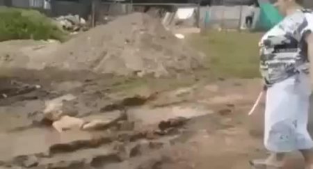 Деревенские смешные приколы гиф