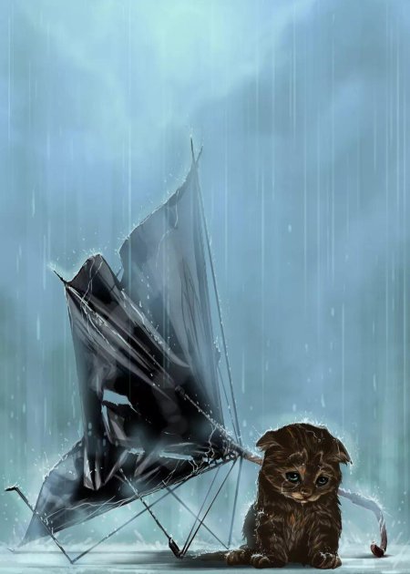 Котенок под дождем