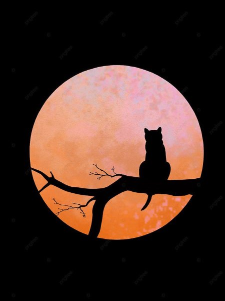 Силуэт кошки