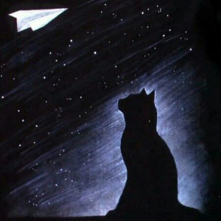 Одинокий кот