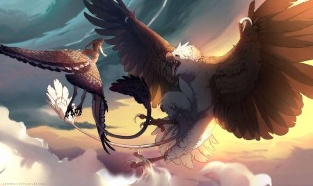 Грифон Гарпия