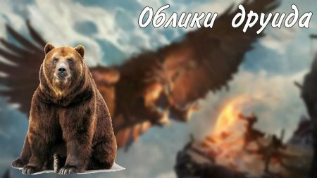 Птица рух ДНД