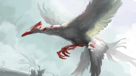 Фэнтези птицы