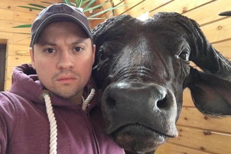 Андрей Гайдулян