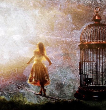 Птица вылетает из клетки