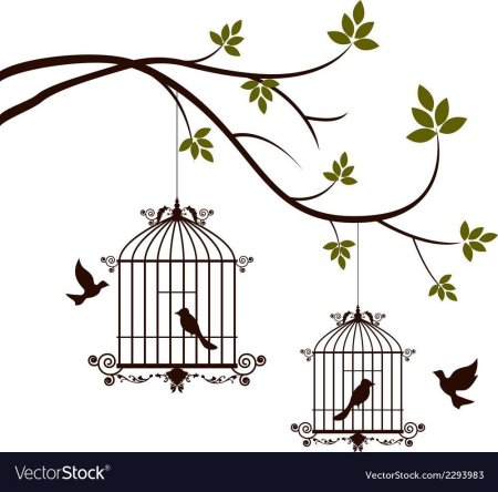 Птица в клетке силуэт