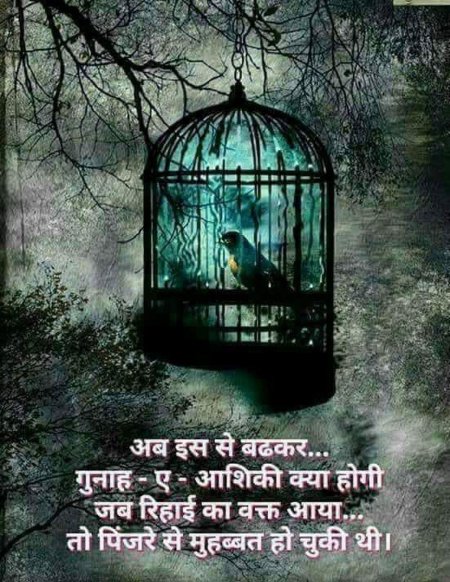 Птица в клетке