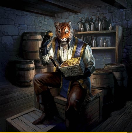 The Elder Scrolls каджиты арт