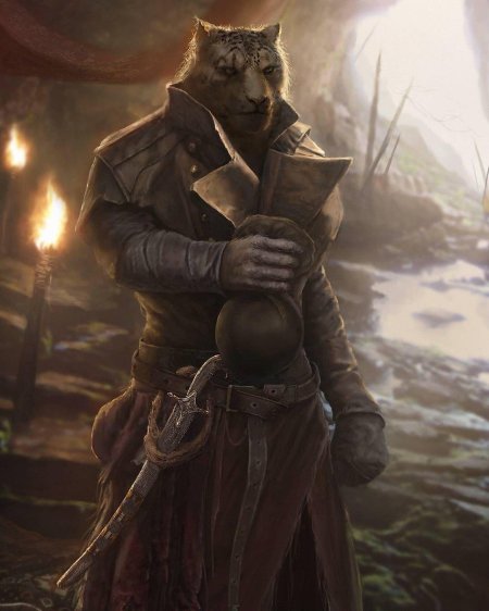 The Elder Scrolls каджит