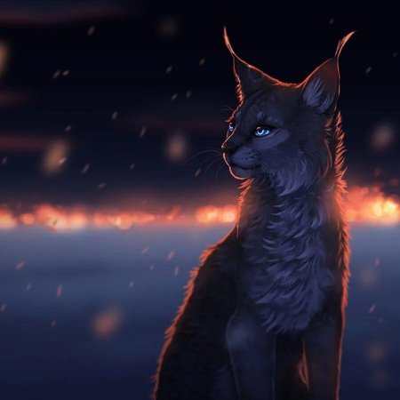 Коты Воители Рысь