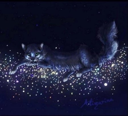 Коты Воители Звёздное племя