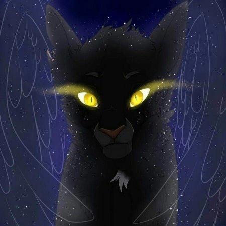 Коты Воители Серокрыл