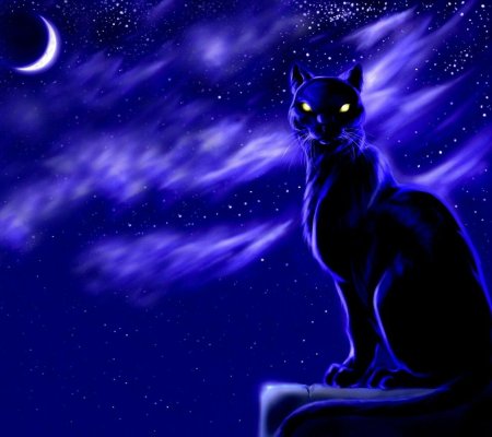 Коты Воители Фиалковая звезда