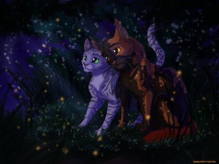 Коты Воители Беззвездная ночь