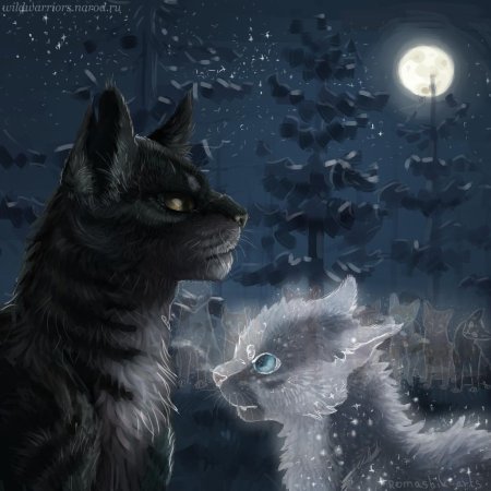Коты Воители Звёздное племя